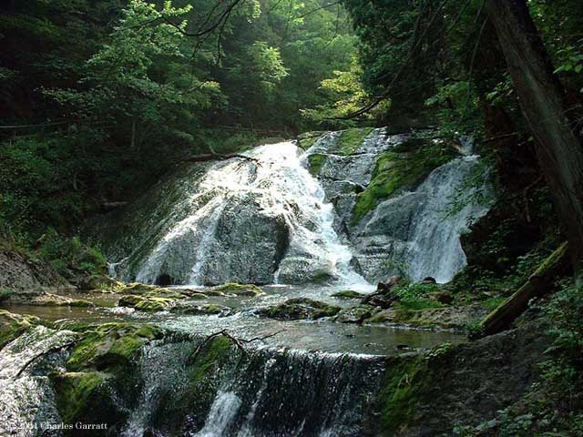 Bridal Veil Falls