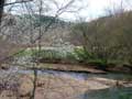 Cowpasture River at Walton Tract