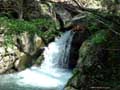 Torrent of Water